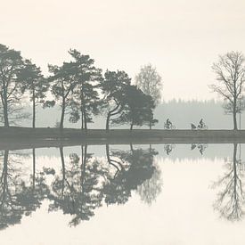 Spiegels van de natuur van Tekstvaart Photography