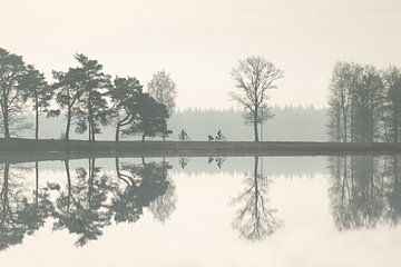 Spiegels van de natuur van Tekstvaart Photography