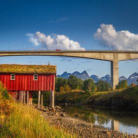 Saltstraumen in Noorwegen van Hamperium Photography
