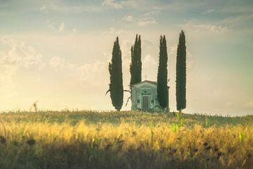 Abandoned church with cypress trees in Tuscany by Stefano Orazzini