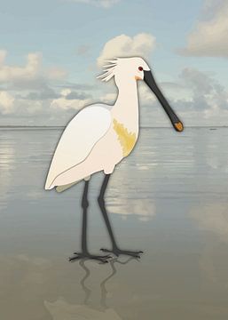 Spoonbill in the water by Bianca Wisseloo