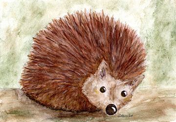 Hedgehog sniff by Sandra Steinke