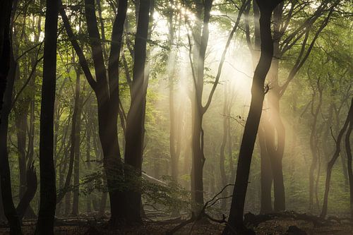 Early morning lights