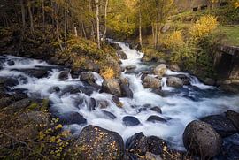 De rivier de Riquerna stroomt door het kleurrijke herfstgebladerte in La Val van PhotoCluster