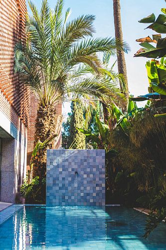 Oasis of tranquillity