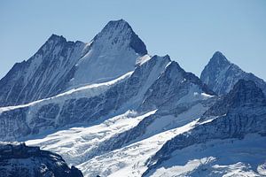 Schreckhorn und Lauteraarhorn