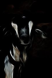 Die Ziege von Christophe Fruyt