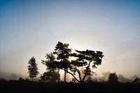 Sunrise.