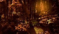 0393 Bronze forest van Adrien Hendrickx thumbnail