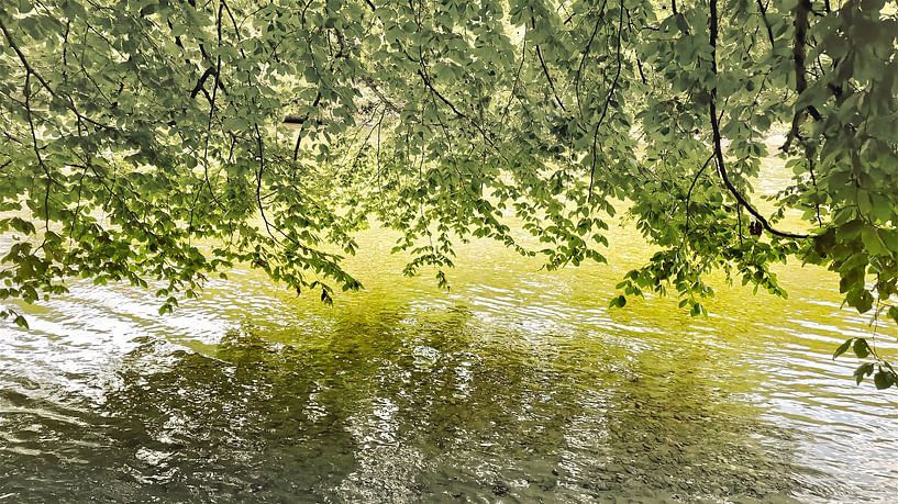 green oasis by fantasina