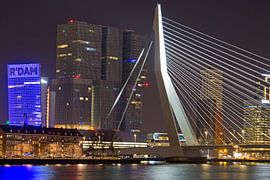 Tour au sud et pont Erasmus à la tête du sud à Rotterdam