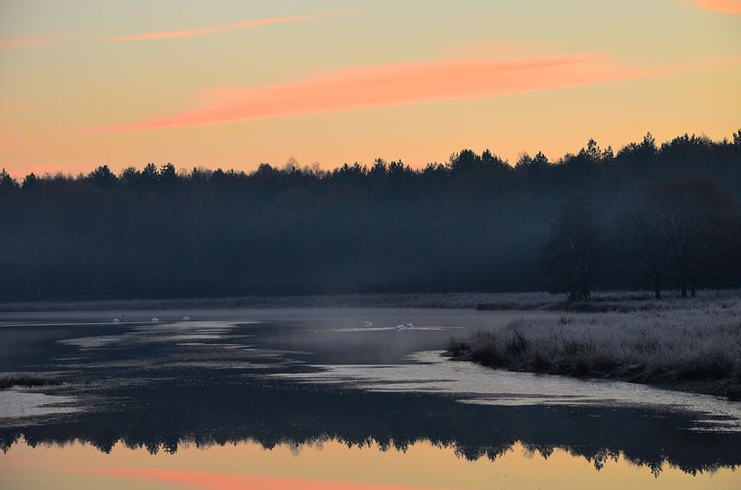 The golden hour by Ans Bastiaanssen
