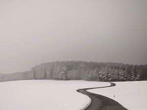 Curvy Road