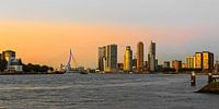 skyline rotterdam