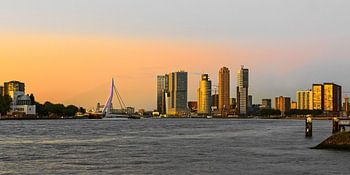 rotterdam skyline