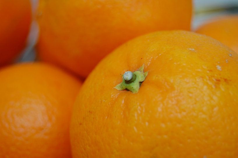 Orange by ku nst