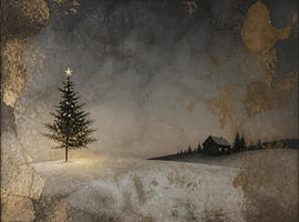 Stille Nacht – Tannenbaum im Goldnebel