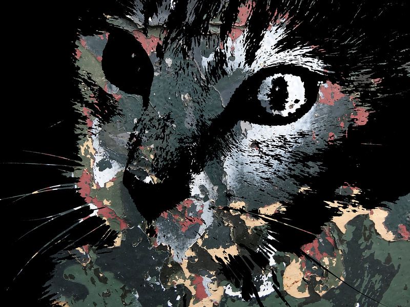 Cat Art: Camouflage Cats 2A by MoArt (Maurice Heuts)