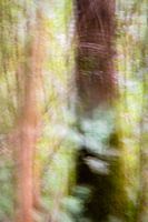 Photographie abstraite