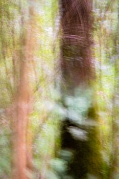 Photographie abstraite