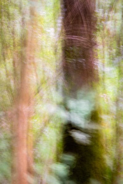 Abstrakte Fotografie von Betty Verheij