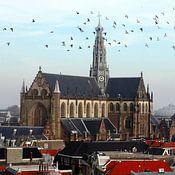 Historisch Haarlem Profilfoto