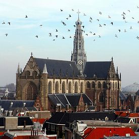 Historisch Haarlem profielfoto