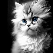 XIAO AHKI Profilfoto