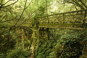 Fußgängerbrücke botanisch. Frankreich.