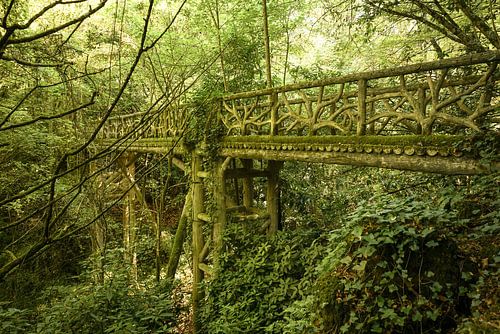 Botanische loopbrug. Frankrijk.