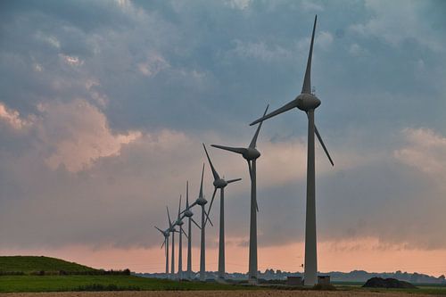 Windmolens in de Wieringerwaard