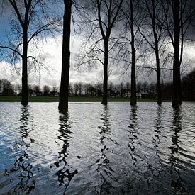 Park Flood by Jaap Kloppenburg