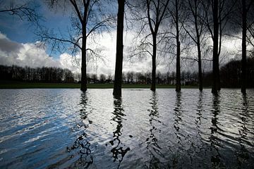 Hochwasser im Park