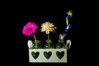 Blumen in Vasen