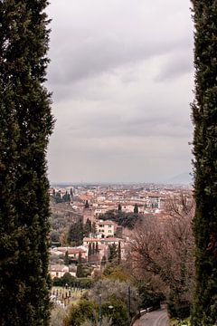 Blick durch Florenz von Vera Konijn