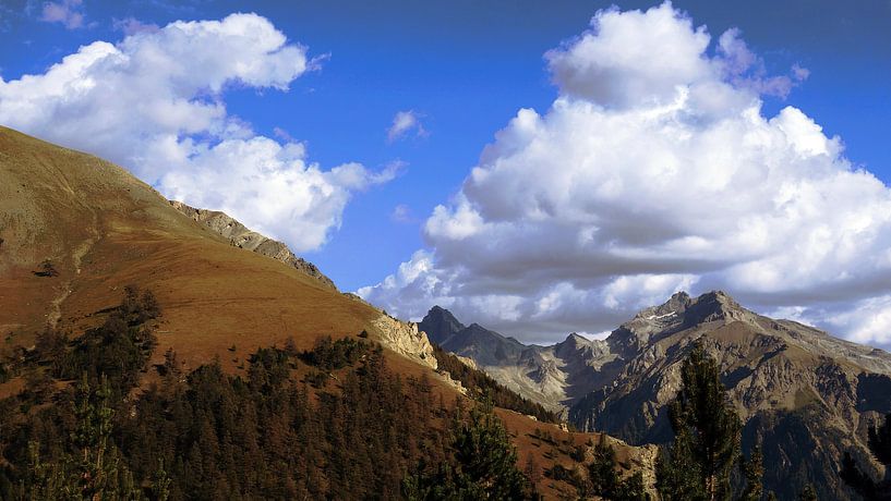 Slagroom Wolk par Daphne Photography
