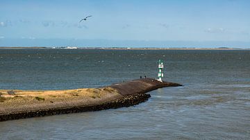 Overseas territory by Jan van der Knaap