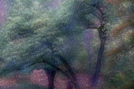 ZAUBERWALD 1