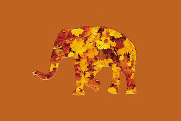 Leaf elephant by Catherine Fortin