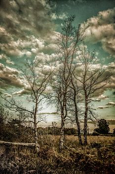 Surrealistische Baum