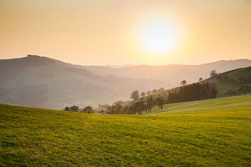 Sonnenuntergang Mostviertel im Frühling von Gerald Lechner