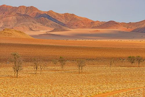 Landschap in ongerepte natuur van Namibië
