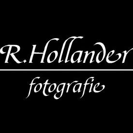 Roy Hollander profielfoto
