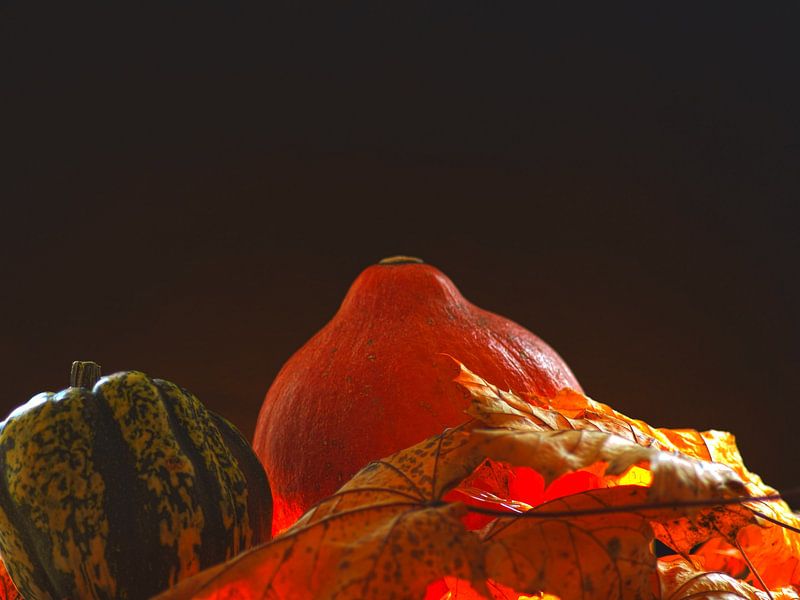 HERFSTCONCEPT: POMPOENEN IN OKTOBER van Photoart-Naegele