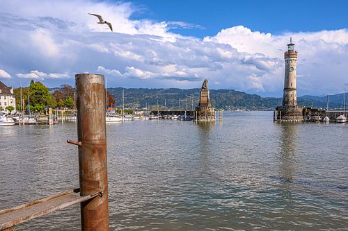 Vleugels over het water in Lindau