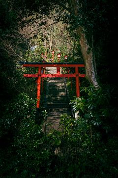 Torii poort in Japan van Ineke Timmermans