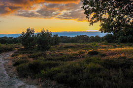 Sonnenuntergang auf dem Leersumseveld