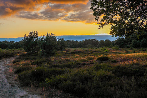 Sonnenuntergang auf dem Leersumseveld