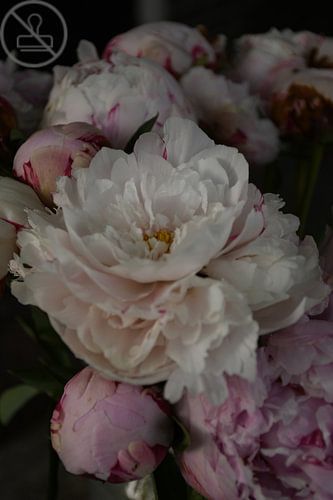 Romantischer Blumenstrauß aus Pfingstrosen von Bianca Luidinga