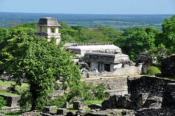 Tussen steen en natuur in Palenque van Frank Photos